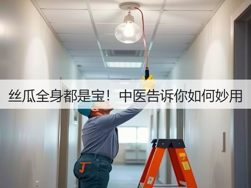 丝瓜全身都是宝！中医告诉你如何妙用