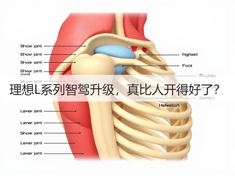 理想L系列智驾升级，真比人开得好了？