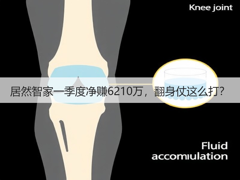 居然智家一季度净赚6210万，翻身仗这么打？
