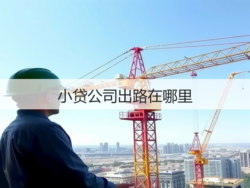 小贷公司出路在哪里