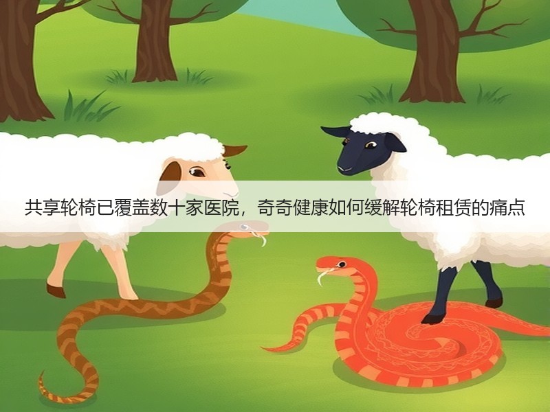 共享轮椅已覆盖数十家医院，奇奇健康如何缓解轮椅租赁的痛点