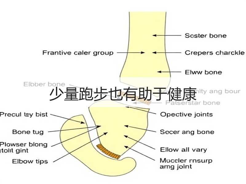 少量跑步也有助于健康