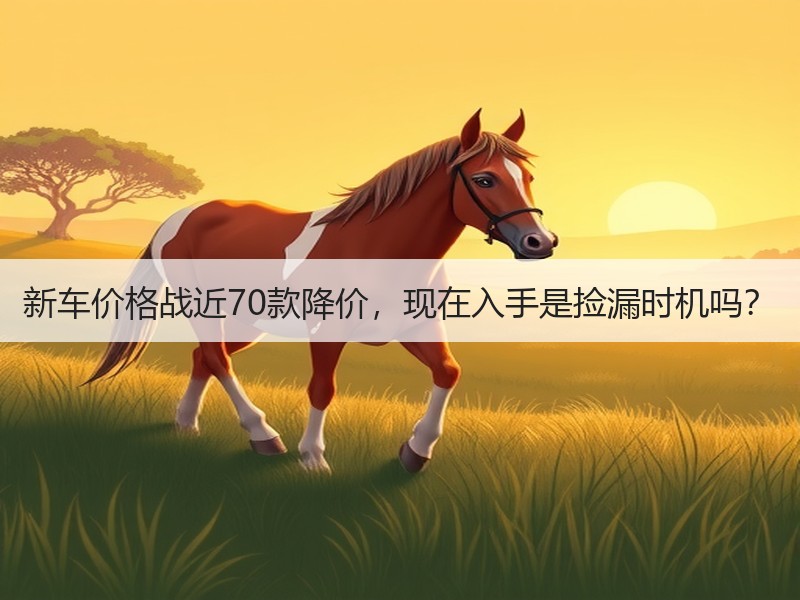 新车价格战近70款降价，现在入手是捡漏时机吗？