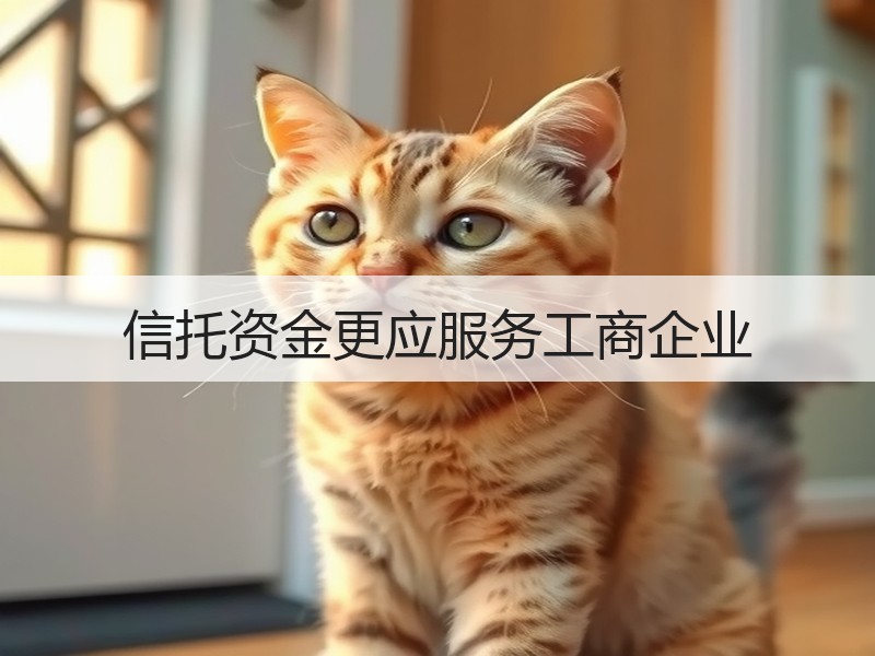 信托资金更应服务工商企业