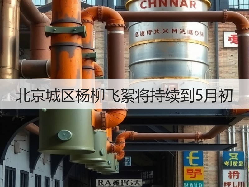 北京城区杨柳飞絮将持续到5月初