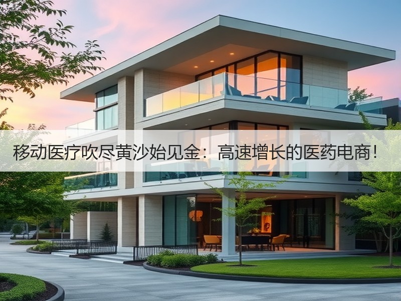 移动医疗吹尽黄沙始见金：高速增长的医药电商！