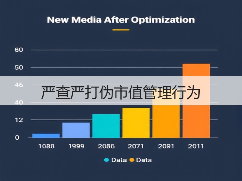 严查严打伪市值管理行为